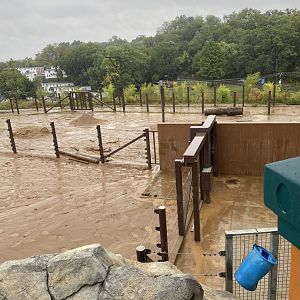 Elephant Trek Backstage Yards