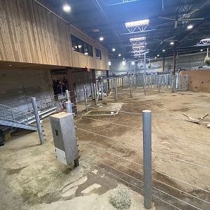 Elephant Trek Barn Main Room