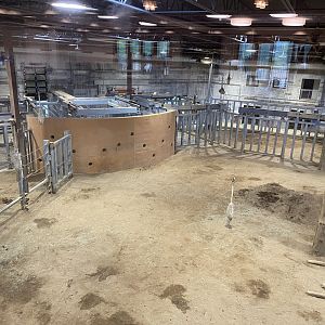 Overhead View in Elephant Trek Barn