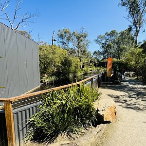 Spider monkey enclosure