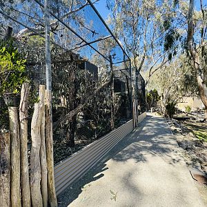 Cockatoo aviaries
