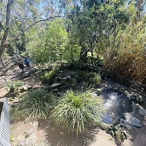 Little penguin enclosure