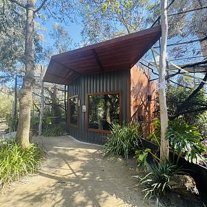 New golden lion tamarin/common marmoset enclosures