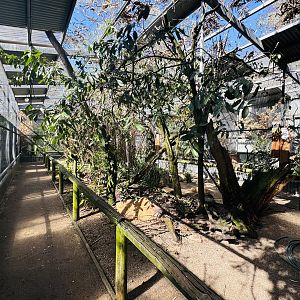 Walkthrough aviary