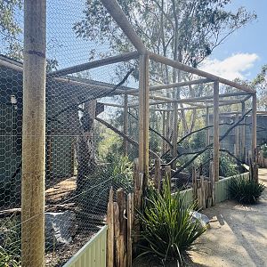 New aviaries