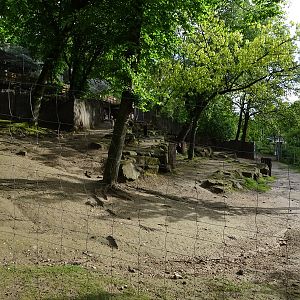 Persian gazelle enclosure