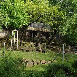 Persian gazelle enclosure