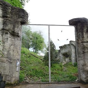 Snow leopard enclosure