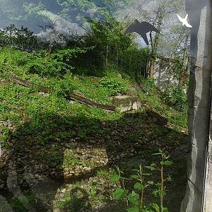 Snow leopard enclosure