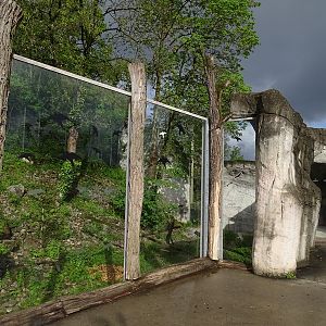 Snow leopard enclosure