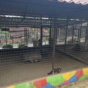 Small Mammals Exhibit