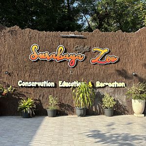 Zoo Entrance Area