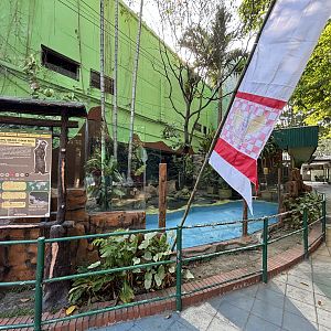 Small-clawed Otter Exhibit #1