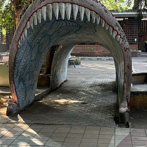 Shark Mouth Tunnel