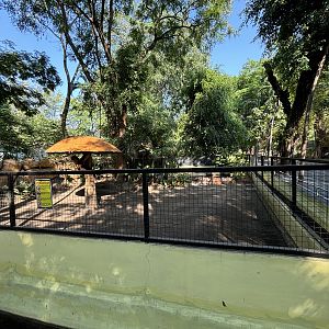 Cassowary Exhibit #1