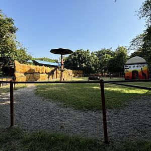 African Savanna - Giraffe/Sitatunga/Ostrich