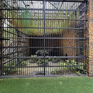 Empty Exhibit - Binturong Statue