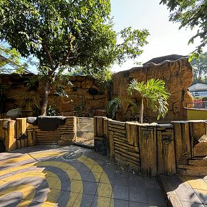 Javan Porcupine Exhibit