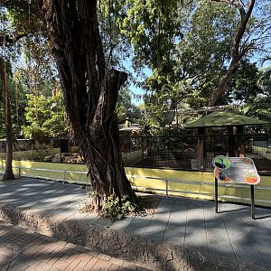 Cassowary Exhibit #2