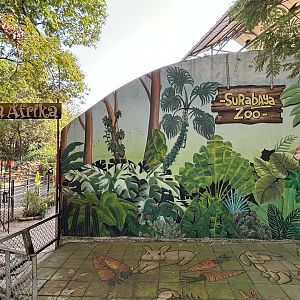 Animal Mural