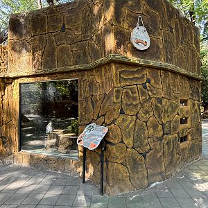 Ring-tailed Lemur Exhibit - bizarre!