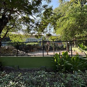 Plains Zebra + Sitatunga Exhibit