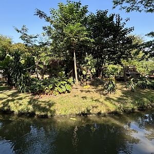 Japanese Macaque Exhibit