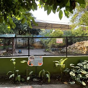 Blue Wildebeest Exhibit