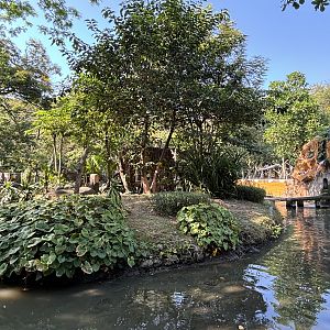 Tufted Capuchin Exhibit