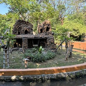 Tufted Capuchin Exhibit