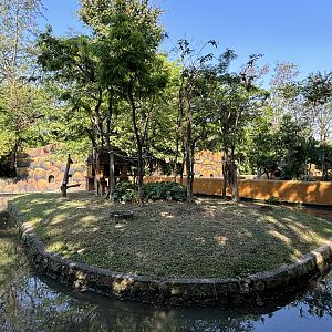 Silvery Gibbon Exhibit