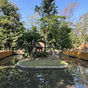 Pig-tailed Macaque Exhibit