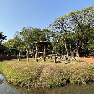 Proboscis Monkey Exhibit