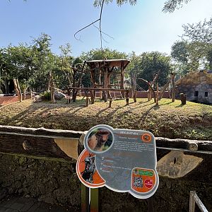 Proboscis Monkey Exhibit