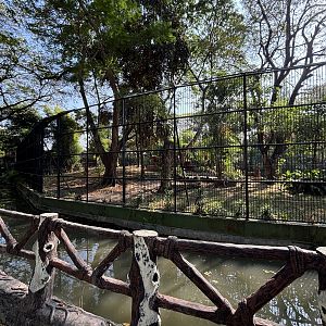 Tiger Exhibit #1 - Bengal