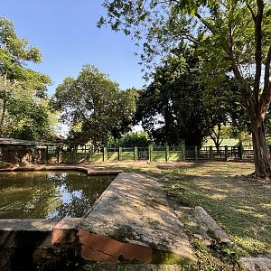 Common Hippo Exhibit