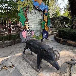 Babirusa Statue