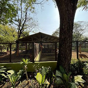 Chital Exhibit