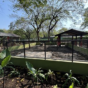 Nilgai Exhibit