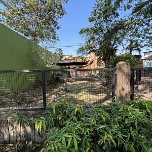 Barking Deer Exhibit