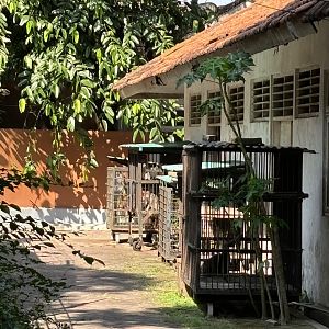 Off-show primate cages