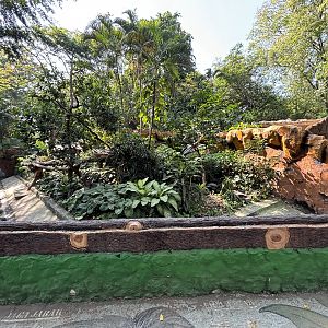 Binturong Exhibit #1