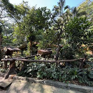 Binturong Exhibit #1