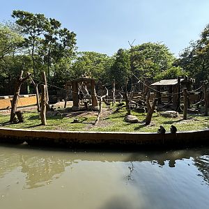 Crab-eating Macaque Exhibit