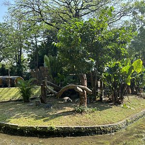 Moor Macaque Exhibit #1