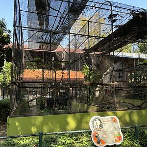 White-bellied Sea Eagle Aviary