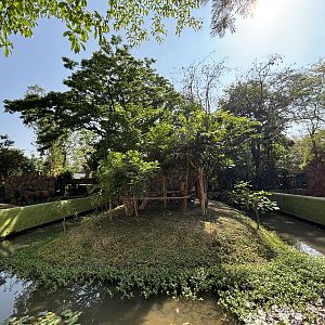Japanese Macaque Exhibit #2