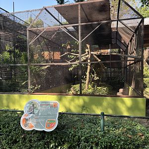 Crested Serpent Eagle Aviary