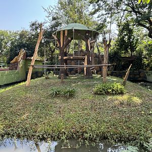 Agile Gibbon Exhibit #1