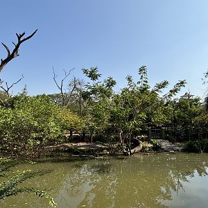 Proboscis Monkey + Bawean Deer Exhibit